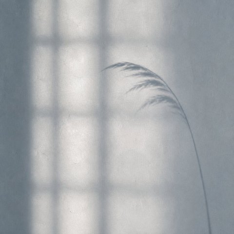 Mood image (visualisation, AI-generated)