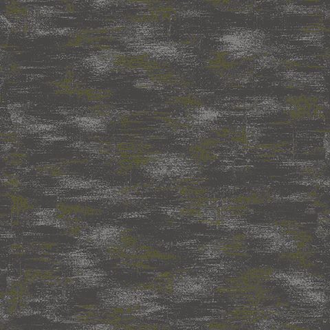 Kelp