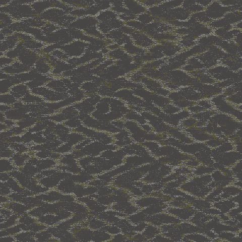 Kelp