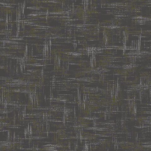 Kelp