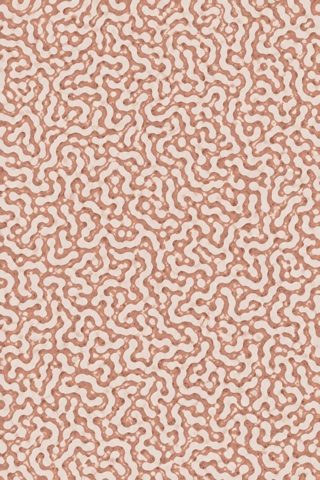 Blush terracotta