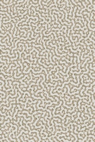 Limewash