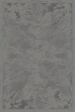 Steel