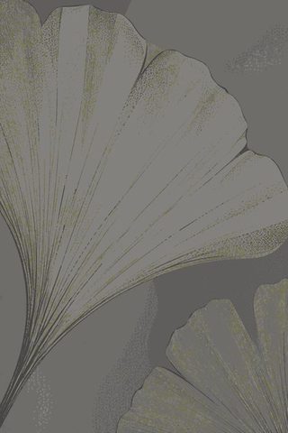 Canopy