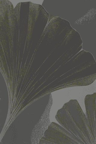 Umbra