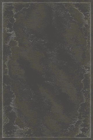 Kelp