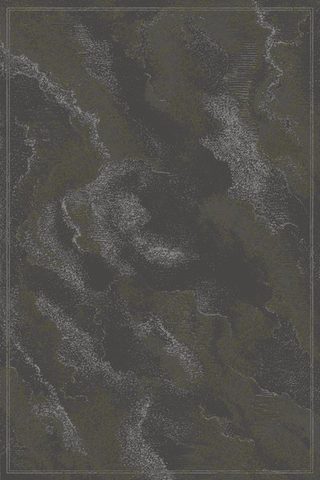 Kelp