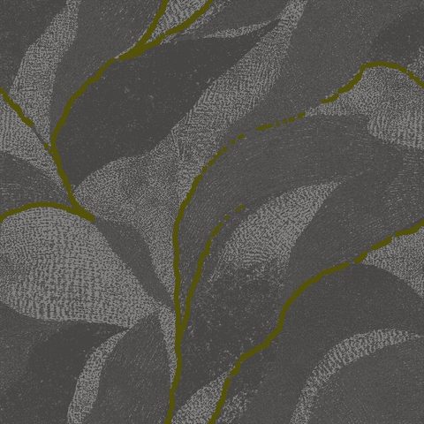 Kelp