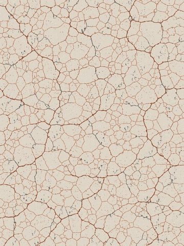 Clay
