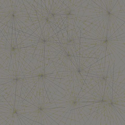 Canopy